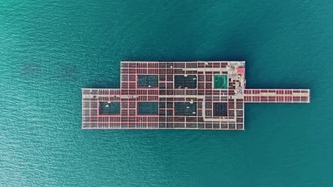 Mussel farming platform in the ocean with shellfish cultivation areas Stock Footage 336545203