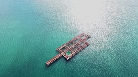 Mussel farming platform in the ocean under bright sun Video stock 336545211