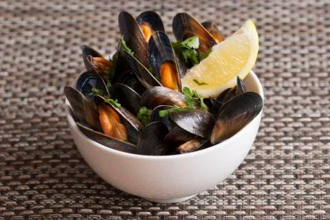 Mussel Foto stock