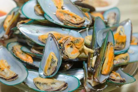 Mussel Stock Photos