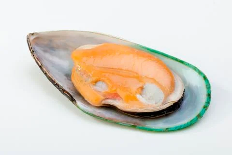 Mussel Stock-Fotos