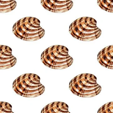 Mussel shell pattern 스톡 일러스트