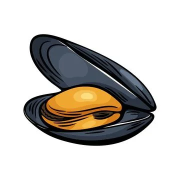 Mussel shell seafood vector in Mediterranean sketch style 스톡 일러스트