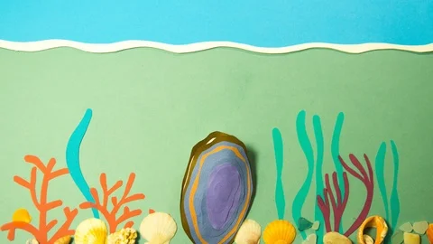 Mussel shell under water Stock Footage 118677024