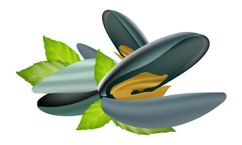 Mussels with Basil Stock Illustration