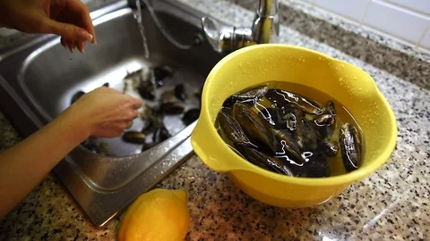 Mussels being cleaned under running water Stock Footage 91147137