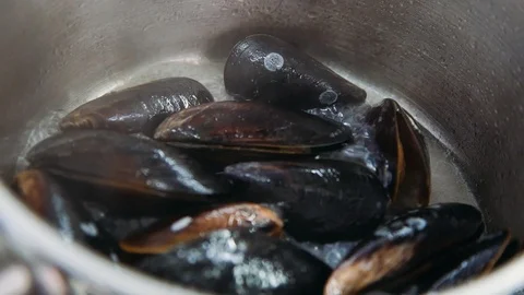 Mussels boiled in restaurant kitchen Stock Footage 120070897