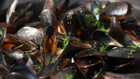 Mussels in a close up shot Stock Footage 249931212
