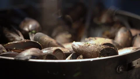 Mussels Cook Quickly, Closeup Of Bubbling Mussel Broth And Charred Shells At Stock Footage 323771018