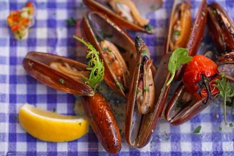 Mussels dates shells Stock Photos