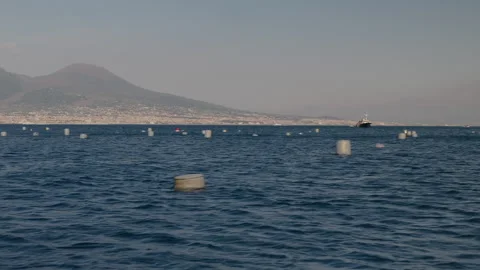 Mussels Farming Stock Footage 340416741