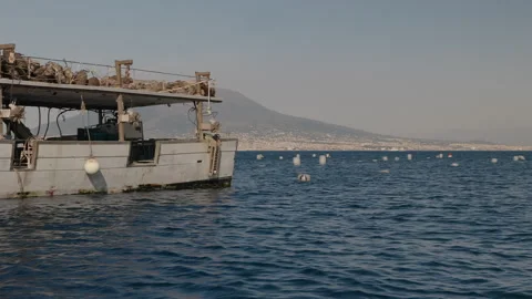Mussels Farming Stock Footage 340416817