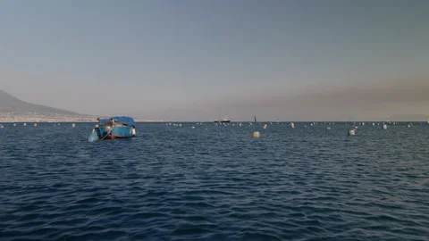 Mussels Farming Stock Footage 340549884