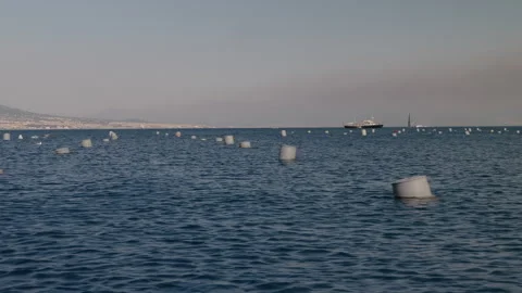 Mussels Farming Stock Footage 340550108