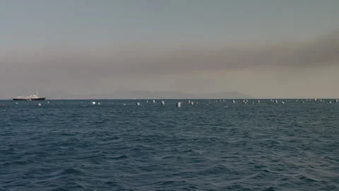 Mussels Farming Stock Footage 340550392