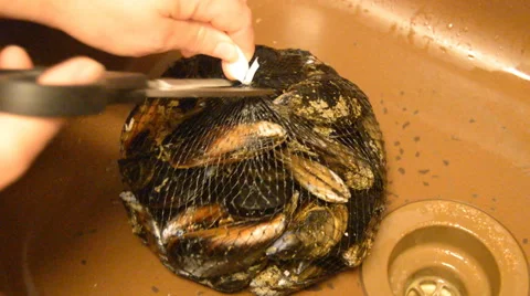 Mussels From A Net Bag Stock Footage 54955586
