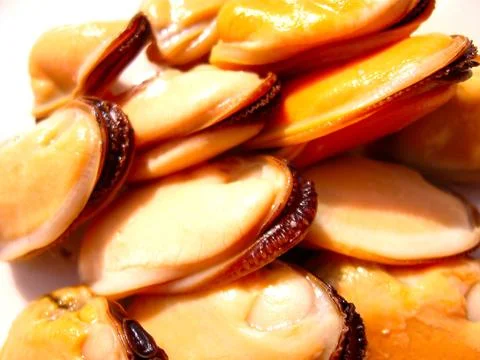 Mussels Stock Photos