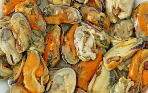 Mussels Stock Photos