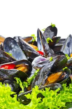 Mussels Stock Photos