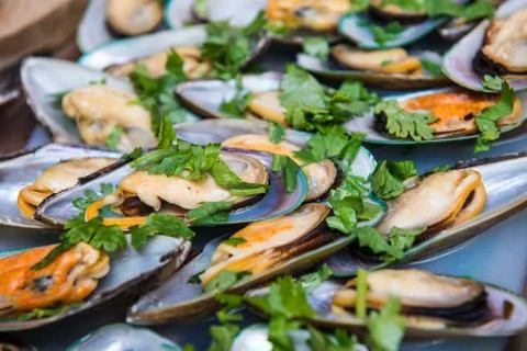 Mussels. Stock Photos