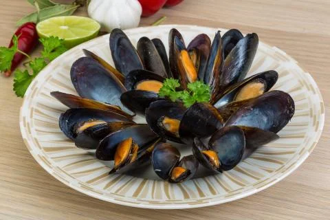 Mussels Stock Photos