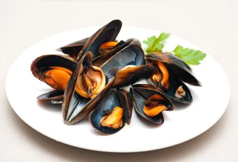Mussels Stock Photos