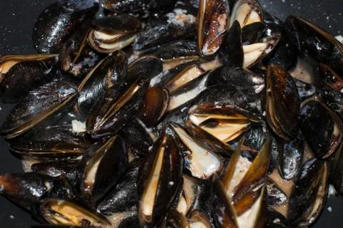 Mussels 스톡 사진