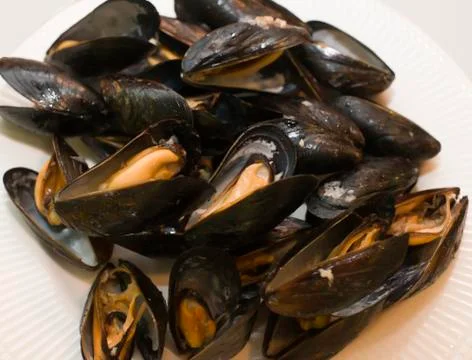Mussels 스톡 사진