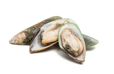 Mussels Stock Photos