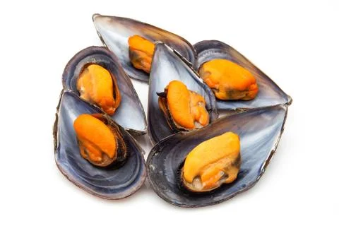 Mussels Stock Photos