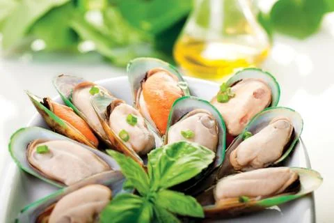 Mussels Stock Photos