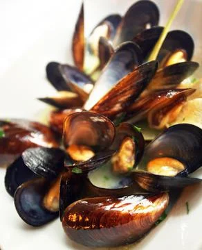 Mussels Stock Photos