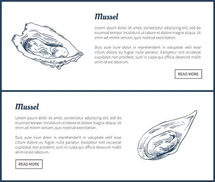 Mussels Posters Set Meals Vector Illustration Stock Illustration