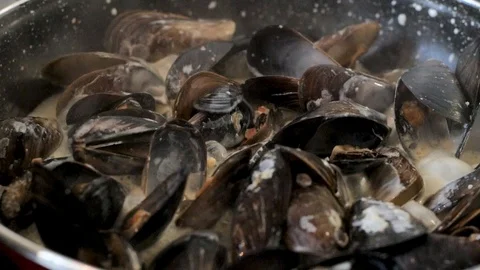 Mussels in pot Stock Footage 92729265