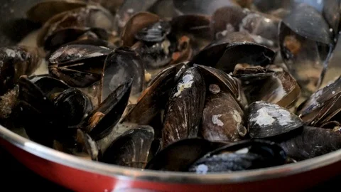 Mussels in pot Video stock 92729331