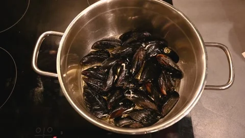 Mussels in a pot. Stewing shellfish in a pot ona a stove. Mediterranean mussel. Stock Footage 297008160