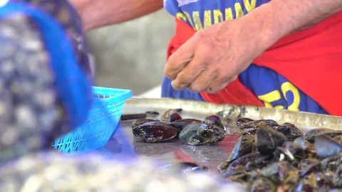 Mussels processing 스톡 동영상 82063933