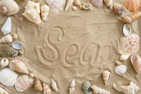 Mussels in the sand Stock Photos
