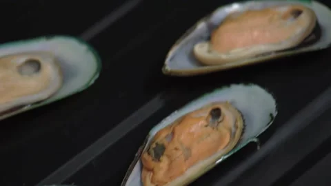 Mussels in shells on baking sheet for baking in oven. Close-up. HD Stock Footage