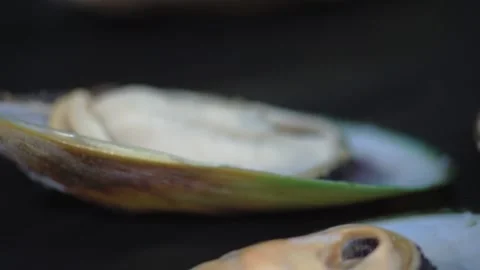 Mussels in shells on baking sheet for baking in oven. Close-up. HD Stock Footage 141931708