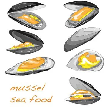 Mussels vector illustration Stock Illustration