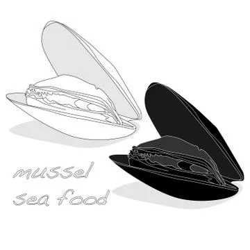 Mussels vector illustration Stock Illustration