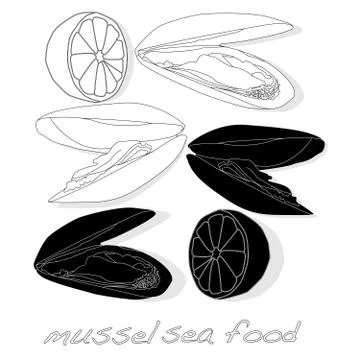 Mussels vector illustration Stock Illustration