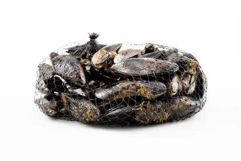 Mussels with a white background Stock Photos
