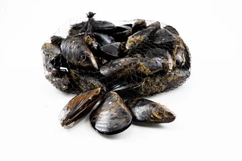 Mussels with a white background Stock Photos