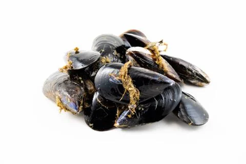 Mussels with a white background Foto stock