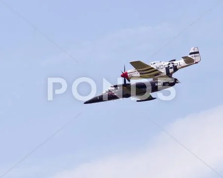 Mustang and albatros planes Stock Photos