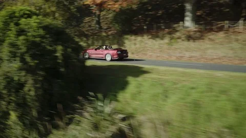 Mustang Driving Through Trees Stock Footage 82705006