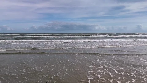 Mustang Waves Stock Footage 254999690