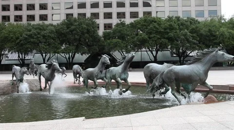 Mustangs at Las Colinas Vidéo 62767679